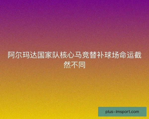 阿尔玛达国家队核心马竞替补球场命运截然不同 阿尔玛达国家队核心马竞替补球场命运截然不同